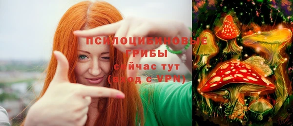 прущая мука Алзамай
