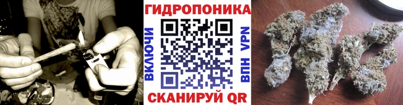 купить   Хотьково  KRAKEN как войти  Каннабис тримм 
